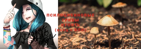 МДПВ Пестово