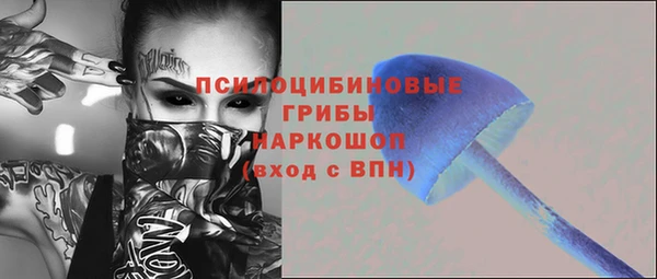 ГАЛЛЮЦИНОГЕННЫЕ ГРИБЫ Алзамай