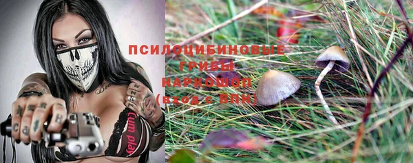 ГАЛЛЮЦИНОГЕННЫЕ ГРИБЫ Алзамай