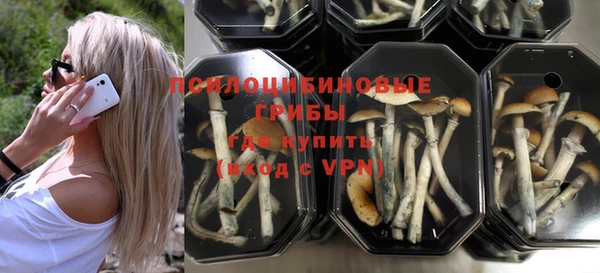 гашиш Пересвет