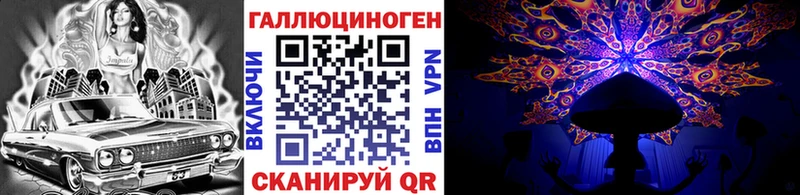Псилоцибиновые грибы Psilocybe  Десногорск 