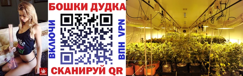 Каннабис сатива  закладки  Десногорск 